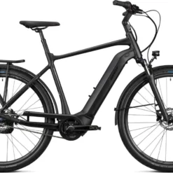 Giant DailyTour E+ 2 (Heren/Kern/500Wh)