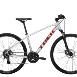 Trek Dual Sport 1 Quicksilver