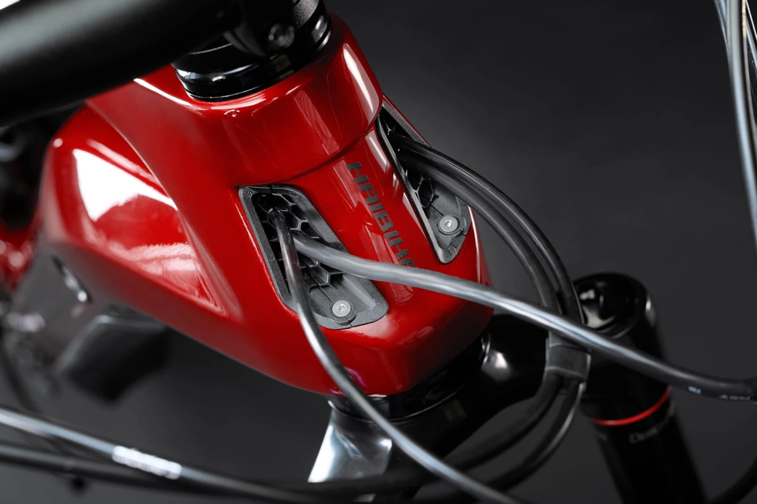 Haibike AllMtn CF 12 MTB Volledig - Glans Mat Dyn Rood Zwart 7 Haibike AllMtn CF 12 MTB Volledig - Glans Mat Dyn Rood Zwart - Afbeelding 7