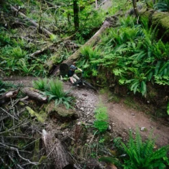 Santa Cruz Hightower 3 C GX AXS Kit Matt Evergreen -Exporteren Rij Licht Winkel ITS 8948eTrtTp6GvtjwR scaled