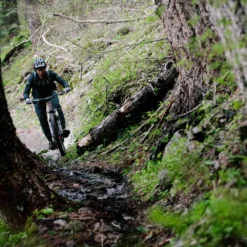 Santa Cruz Hightower 3 C GX AXS Kit Matt Evergreen -Exporteren Rij Licht Winkel ITS 9203rbRy5DFNdjB7f scaled