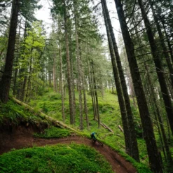 Santa Cruz Hightower 3 C GX AXS Kit Matt Evergreen -Exporteren Rij Licht Winkel ITS 9862N4G29hkvi1zXi scaled