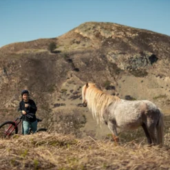 Santa Cruz Bronson 4 C MX XT RSV Gloss Moss En Blauw -Exporteren Rij Licht Winkel SN Bronson Vero 0957Uo2zNLtJvK03 scaled