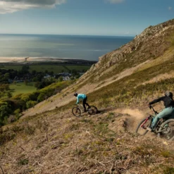 Santa Cruz Bronson 4 C MX XT RSV Gloss Moss En Blauw -Exporteren Rij Licht Winkel SN Bronson Vero 105VchazHqr2Jk50 scaled