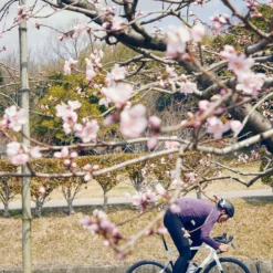 Cannondale SuperSix EVO Carbon Schijf 105 Zwart Parel -Exporteren Rij Licht Winkel SuperSix EVO In The Wild 2